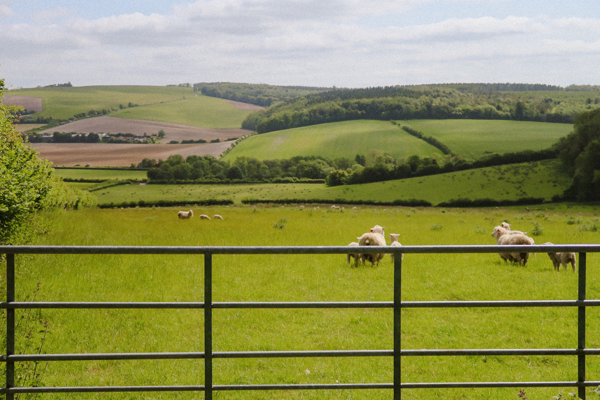 0a51e1cf-8df0-4069-8fc4-b2d0150da927