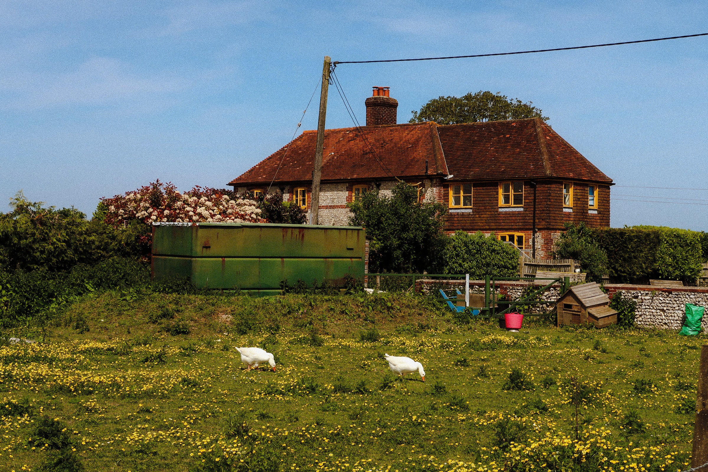 94a5745e-4bb9-401c-aa32-323427a18eb5