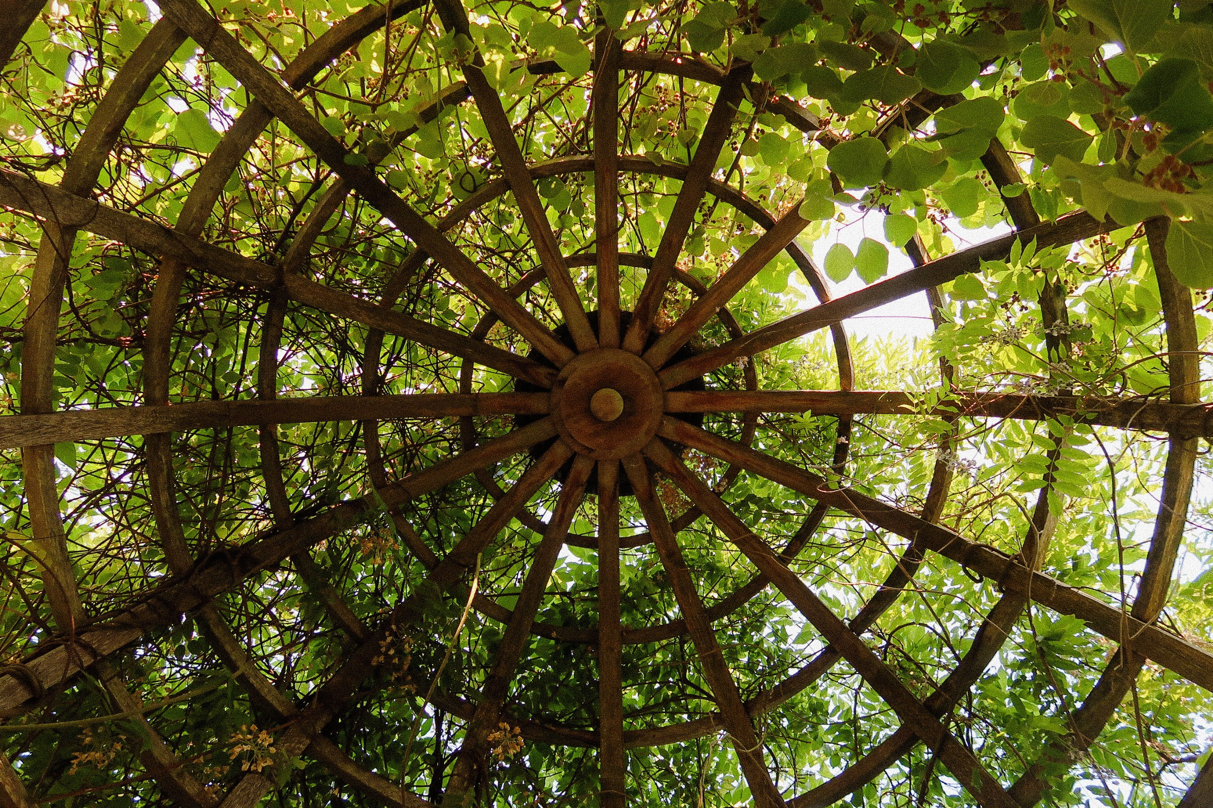 a12bee8d-7fa1-4a8f-9ac2-67916348f8bb