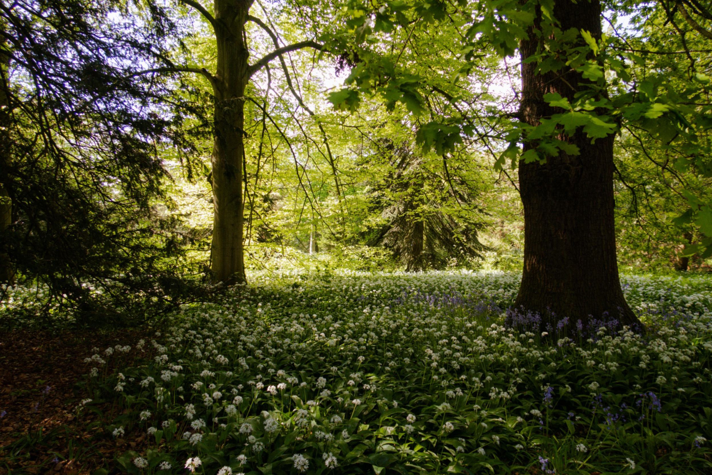 5a5aabb5-f7e1-4db6-9151-e364fe814404