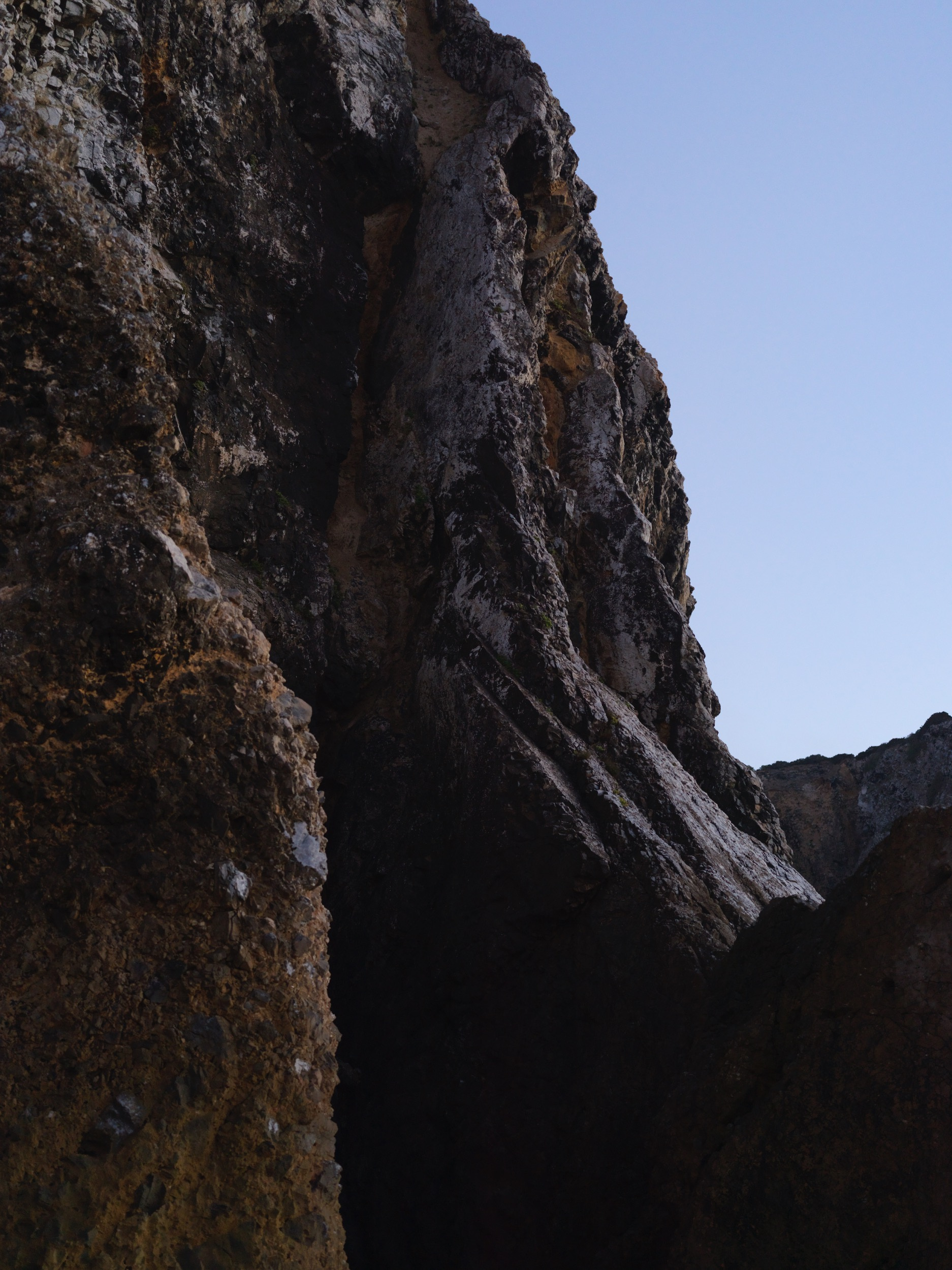 d4719192-5d60-4552-bee7-45d49ee4efa4