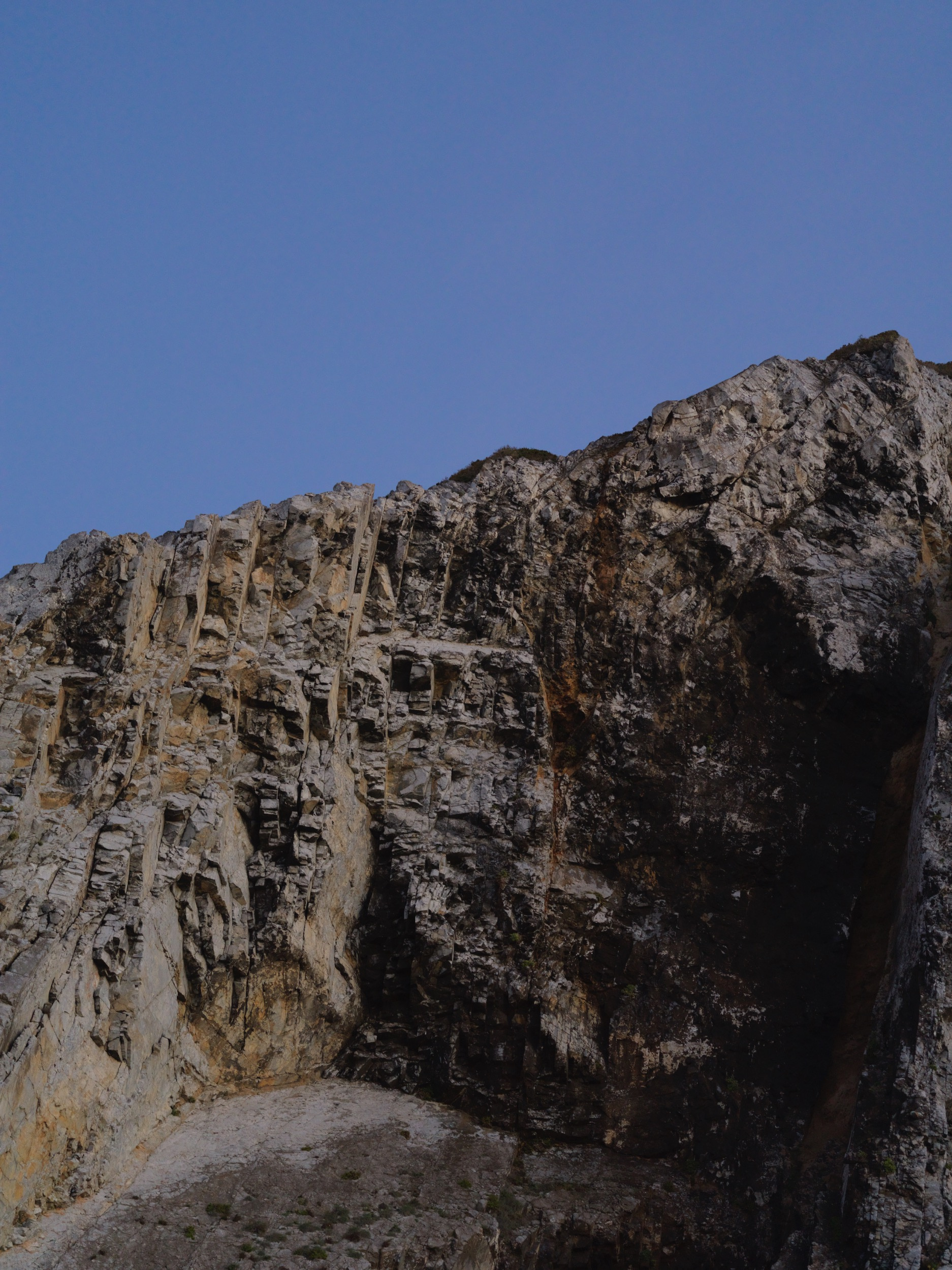 ad8ca3a8-a84d-4c4a-ae54-73de38fa3dc7