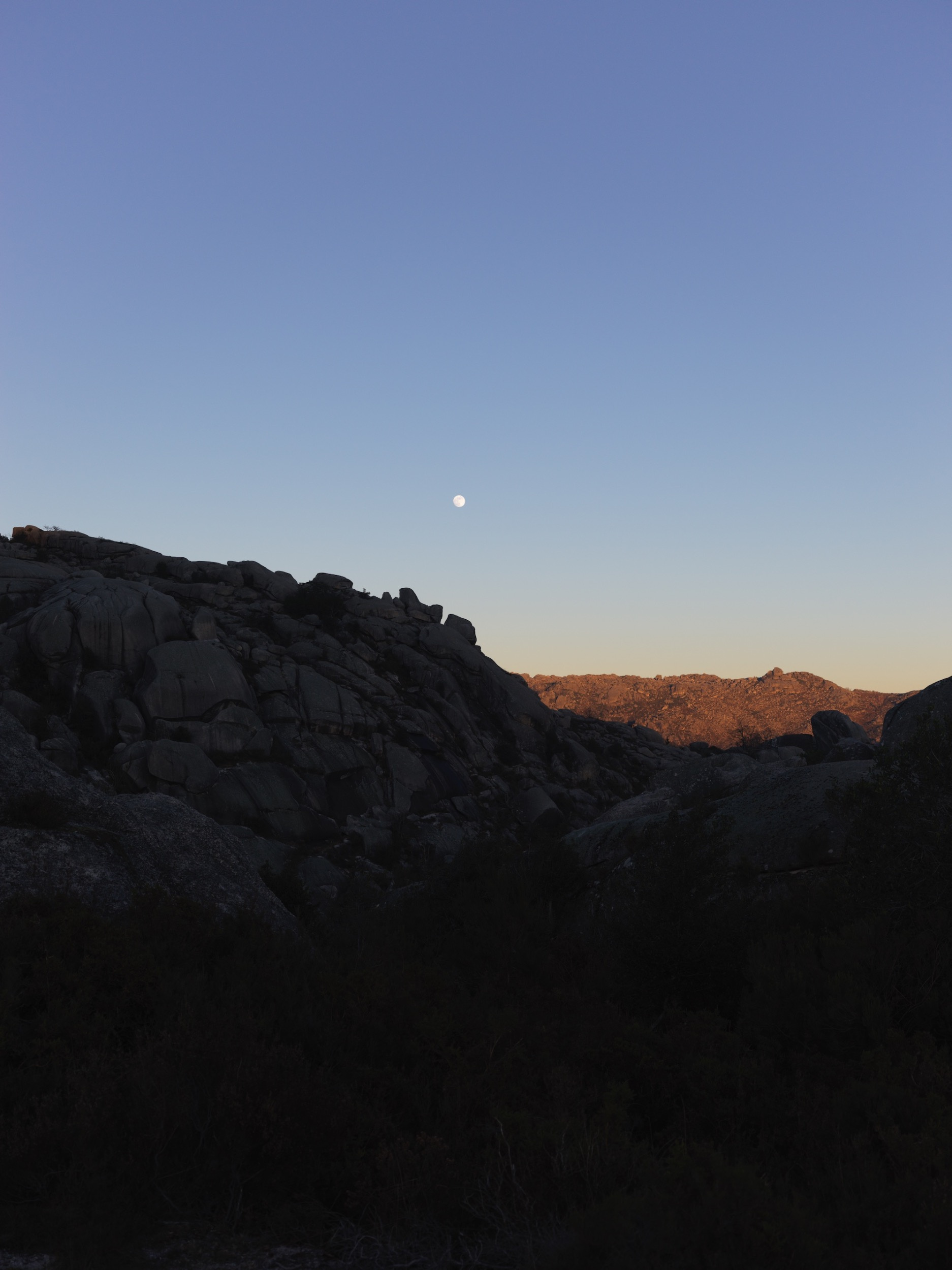 3c5097a3-0790-47f7-b9ee-3da8cadcf561