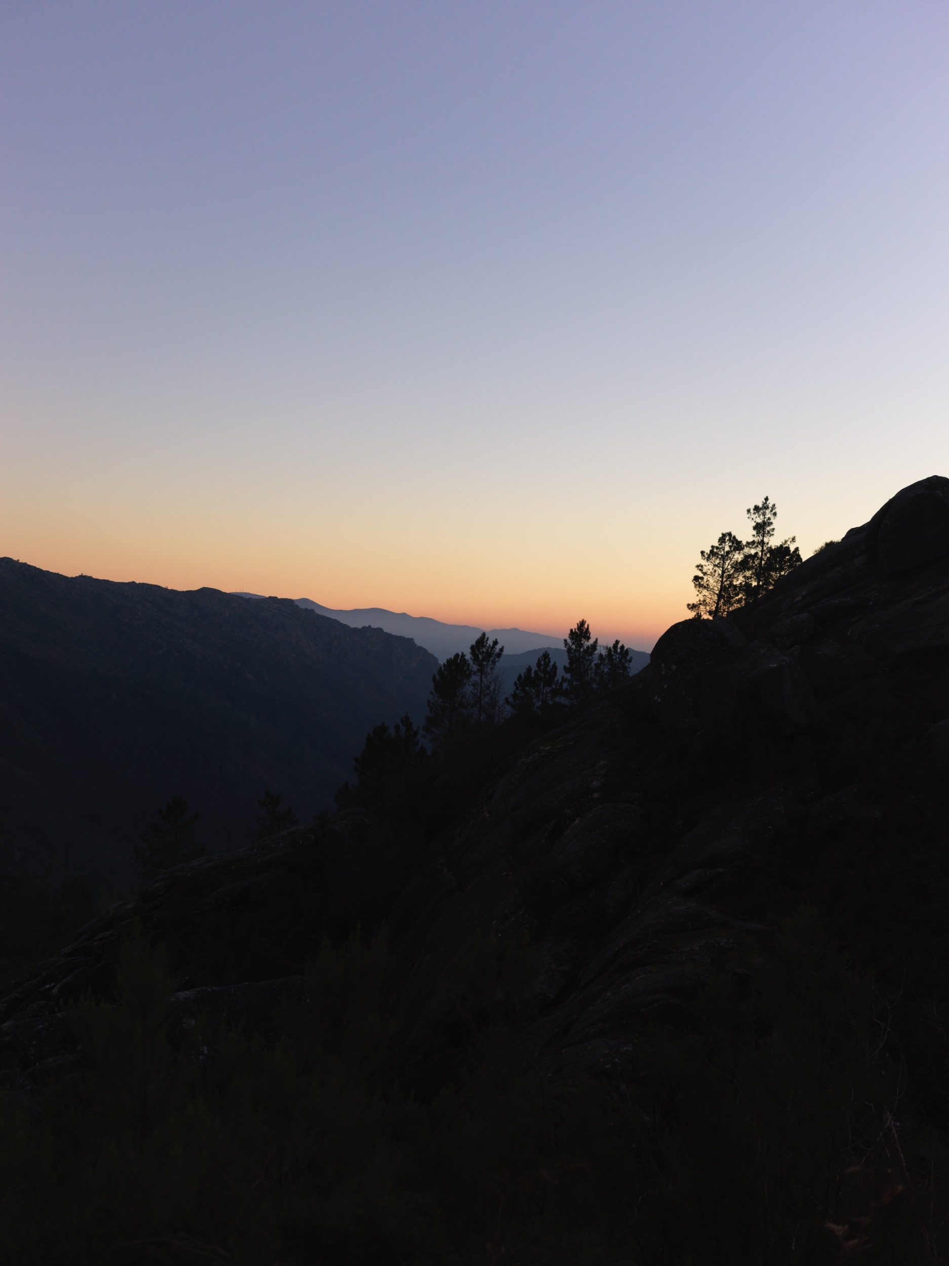 7686e332-9c5a-4d46-92e4-8fa12f54af9d