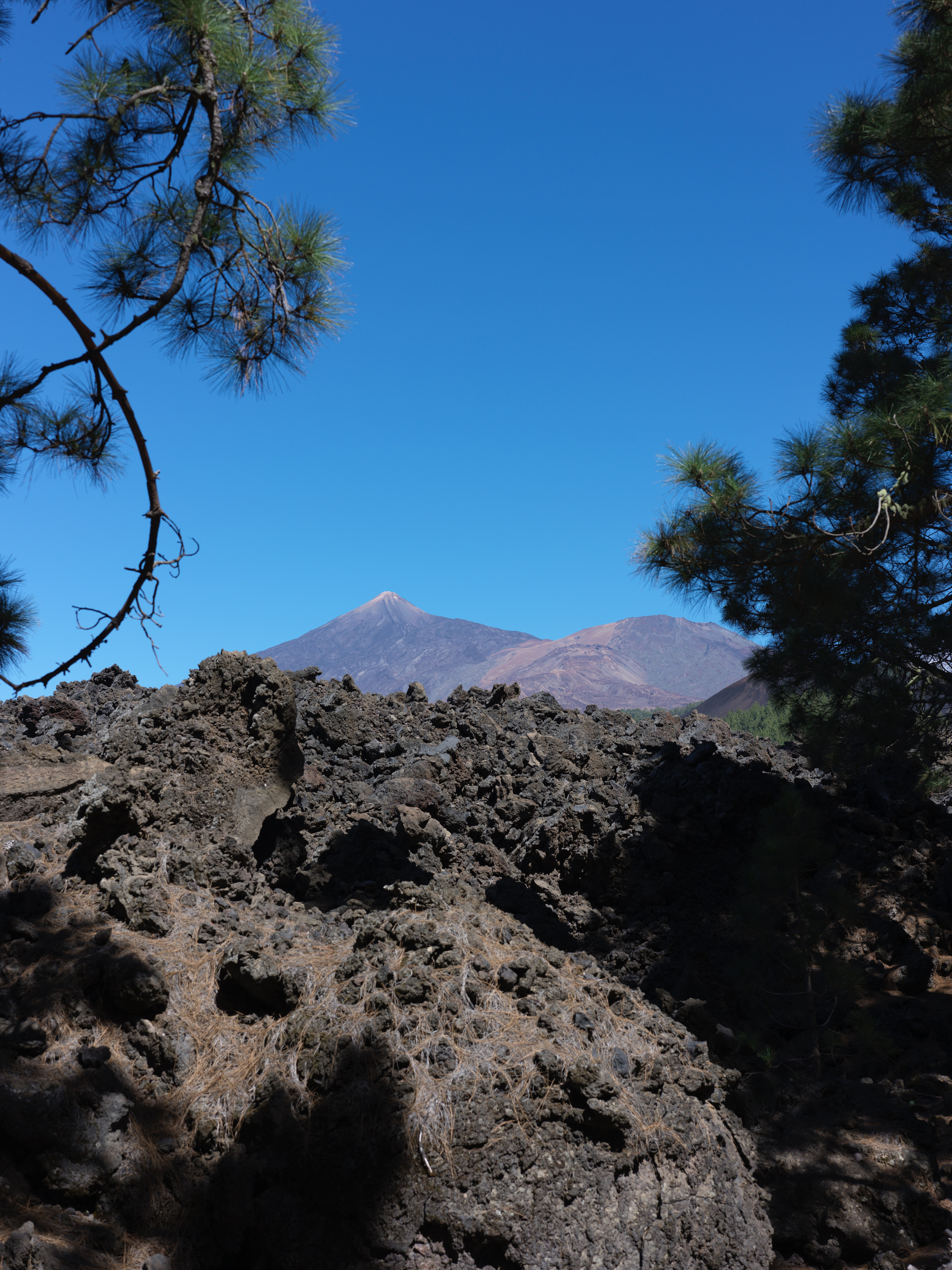 4a5b2b67-5c02-4d29-8720-d830d73faa24