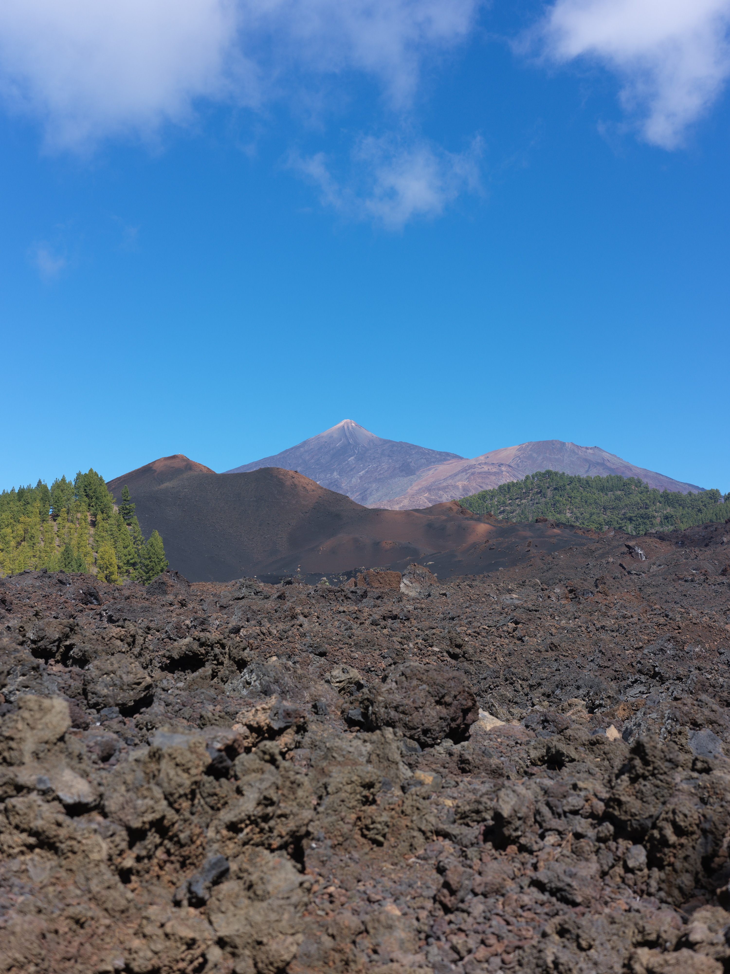 d43e35e7-748b-4668-b802-c6b6e728551f