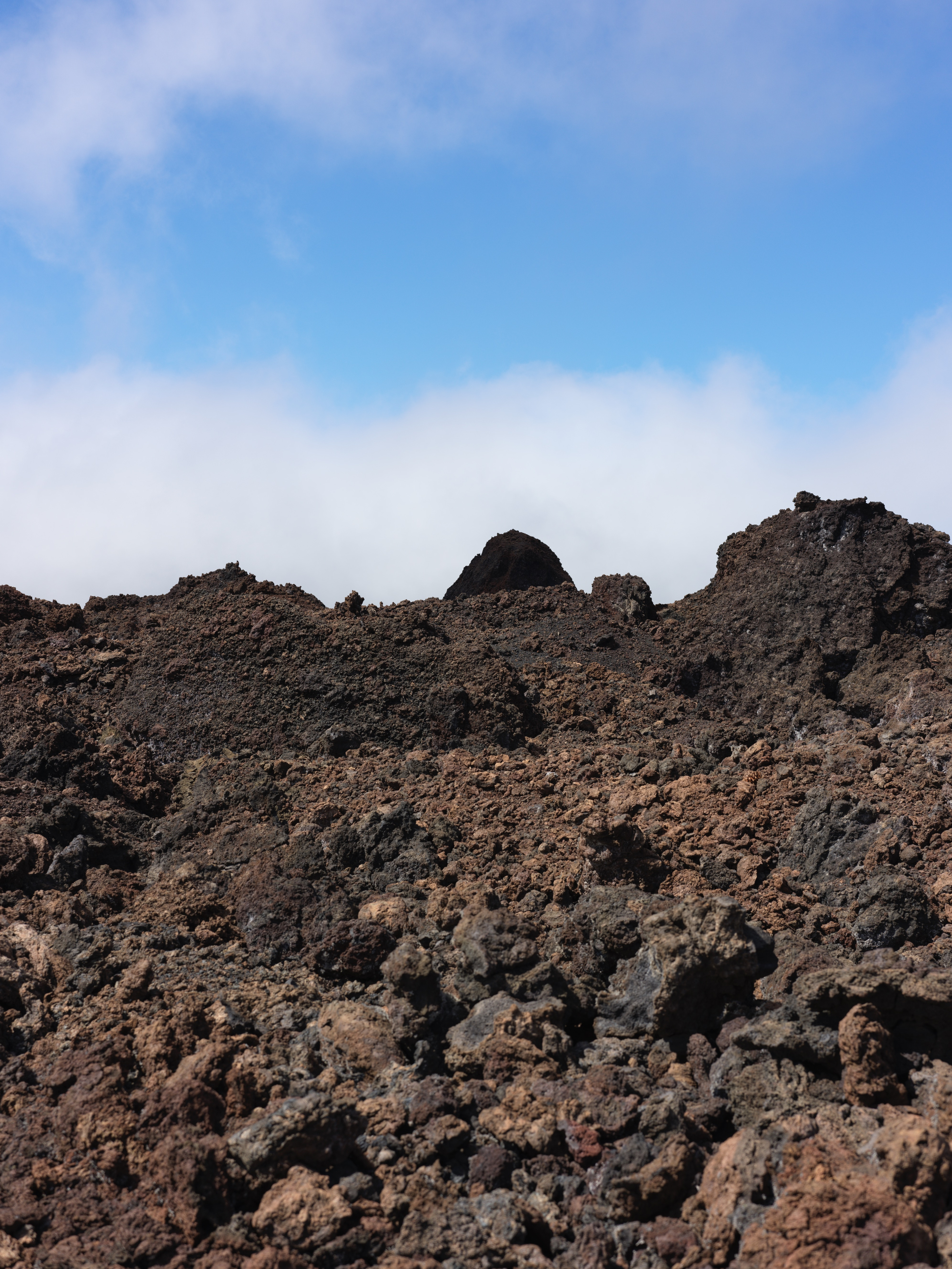 13db817e-5813-4f5d-9bdc-5f8a08f4fc55