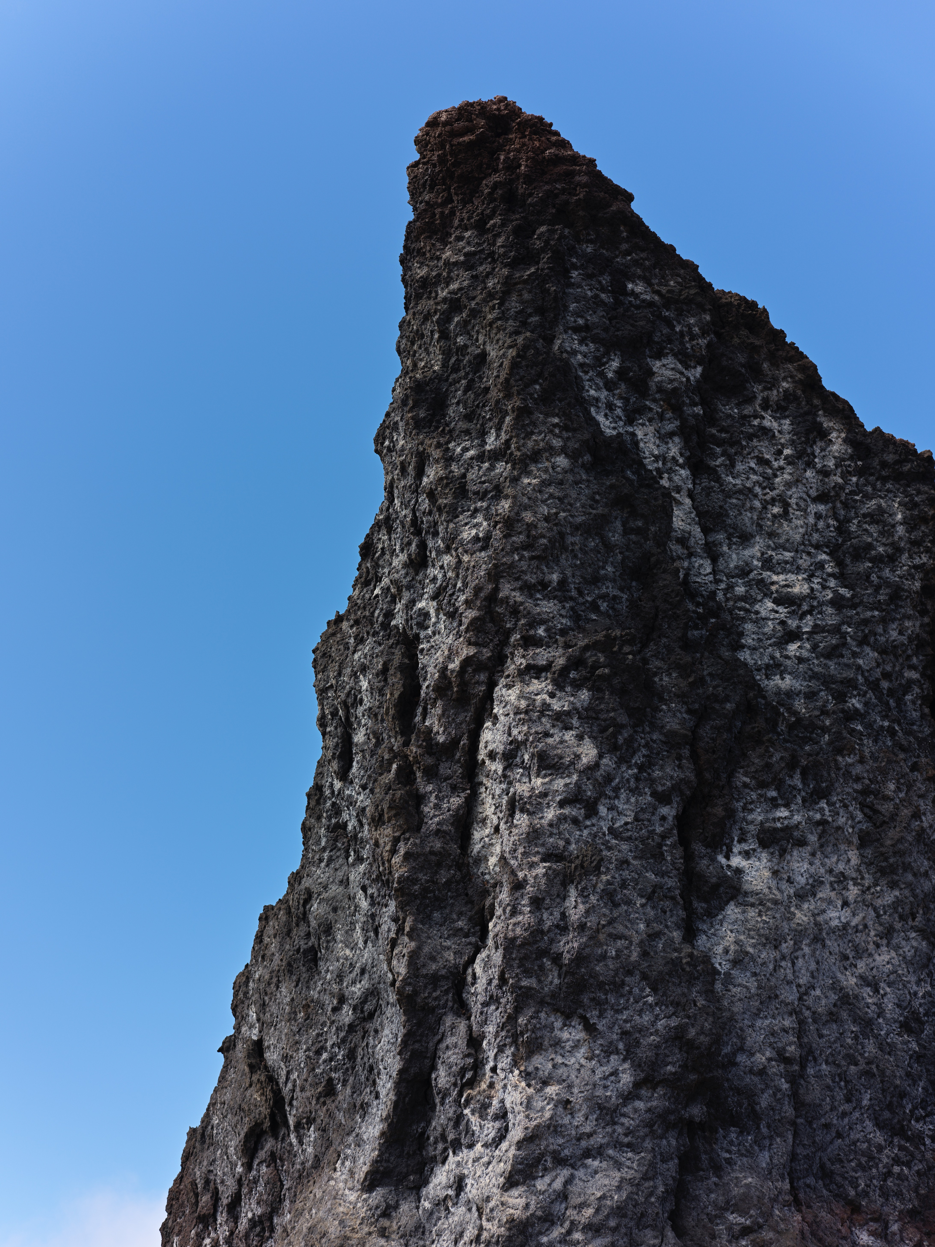 28f1a832-5c58-4b48-a929-4543a07fa2b2