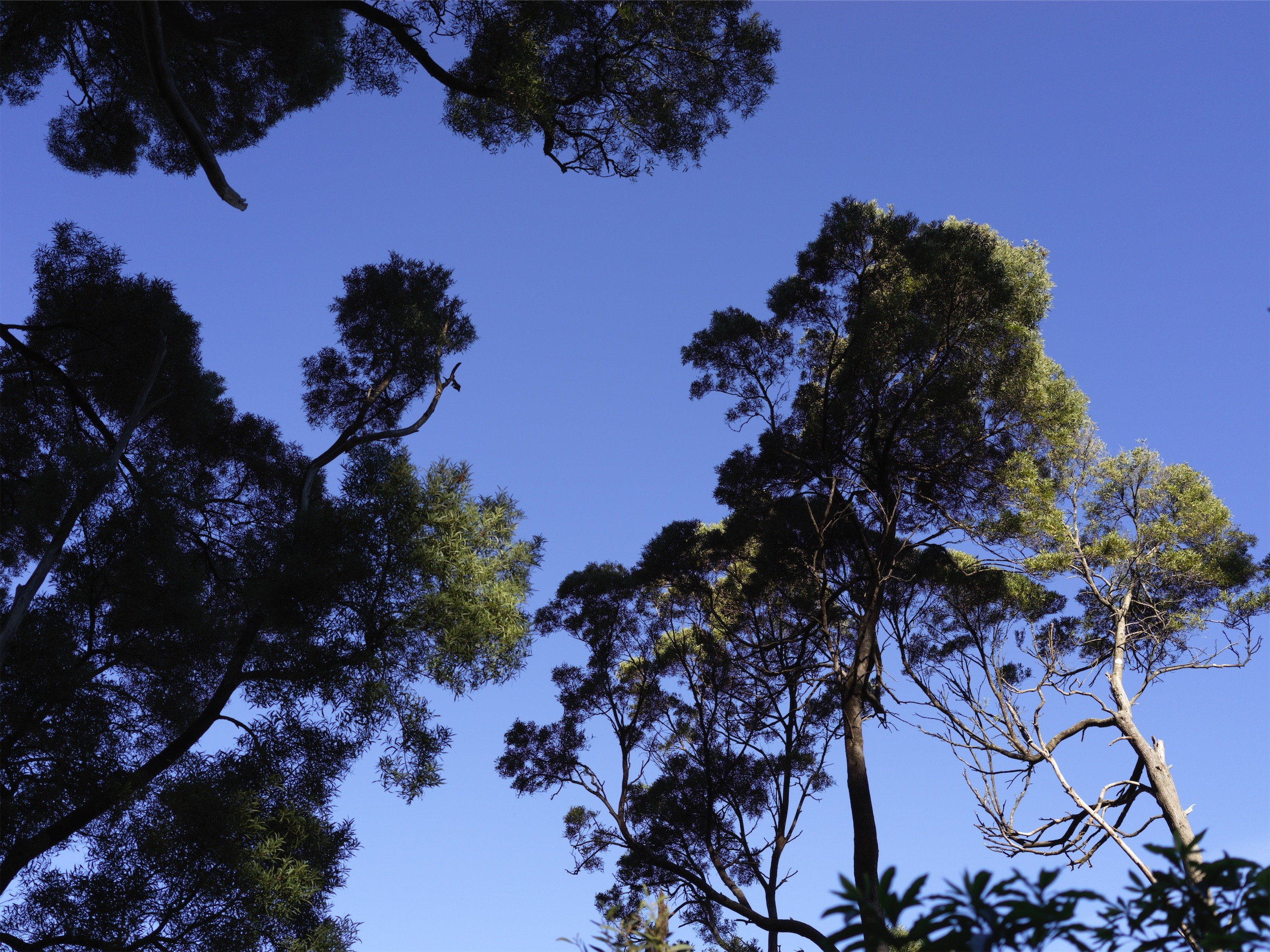 c626bbfe-9177-4304-bfad-270b0bacacdc