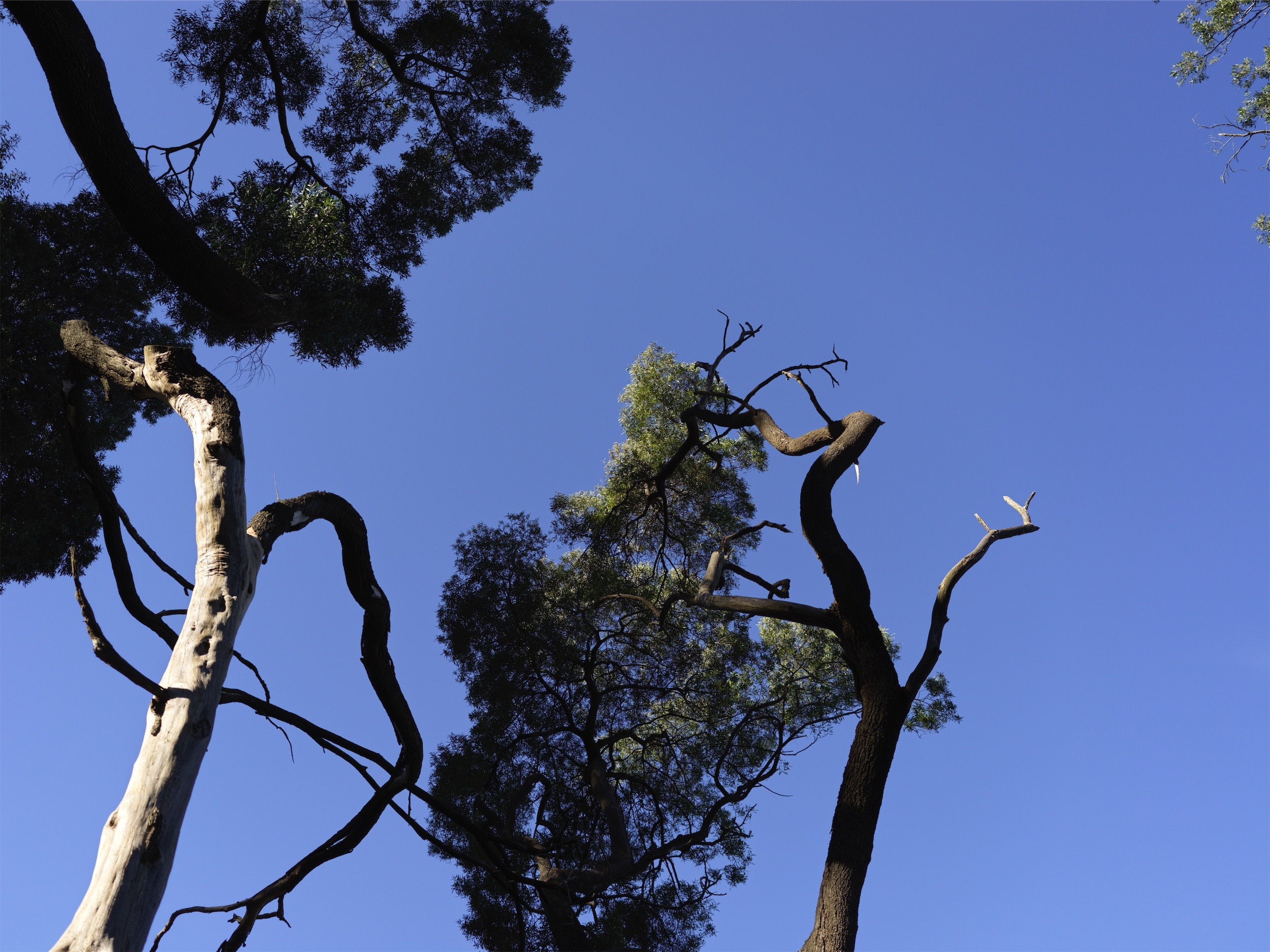 4a4c0928-fdf1-4a07-bd34-840e099f2a44