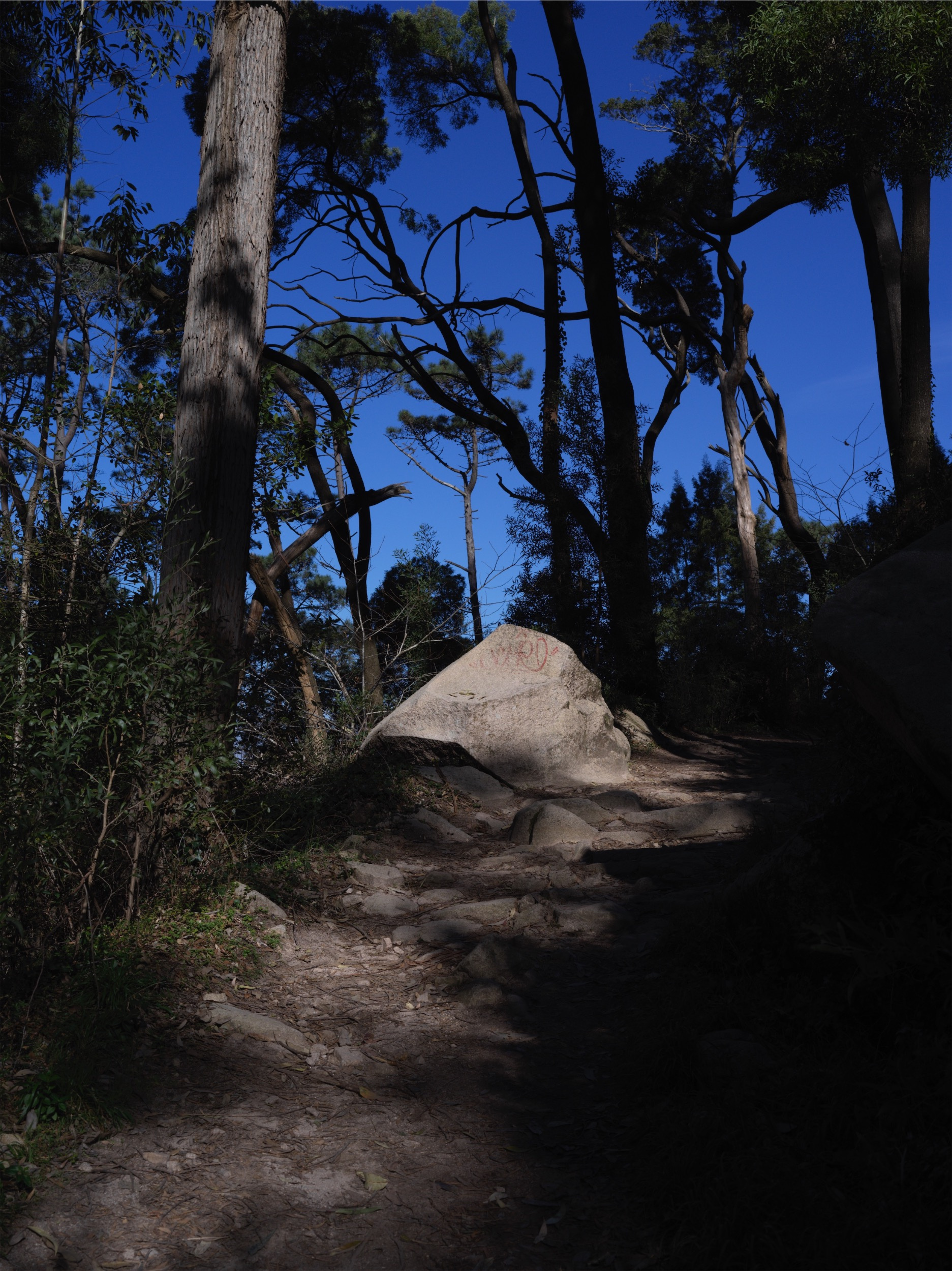 cedbf5e0-8220-404e-9787-f3ff1c5d6494