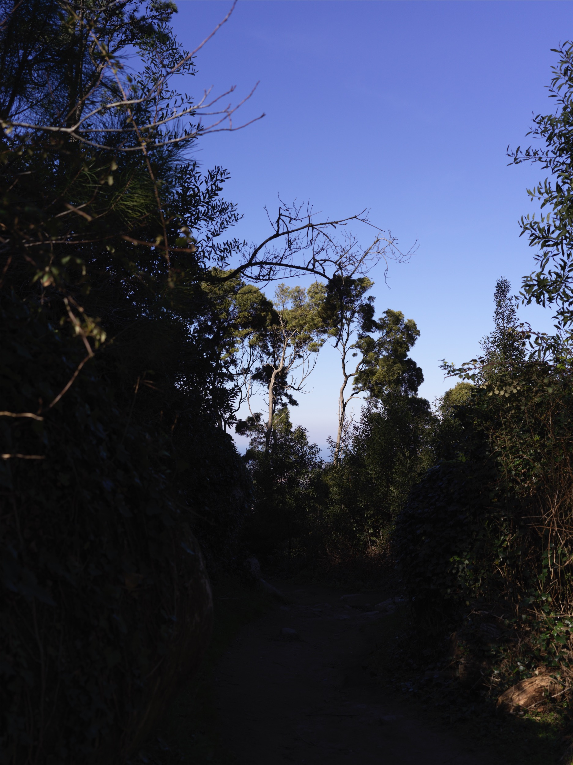 297f843b-8540-4706-9c6f-e4931e2d8d11