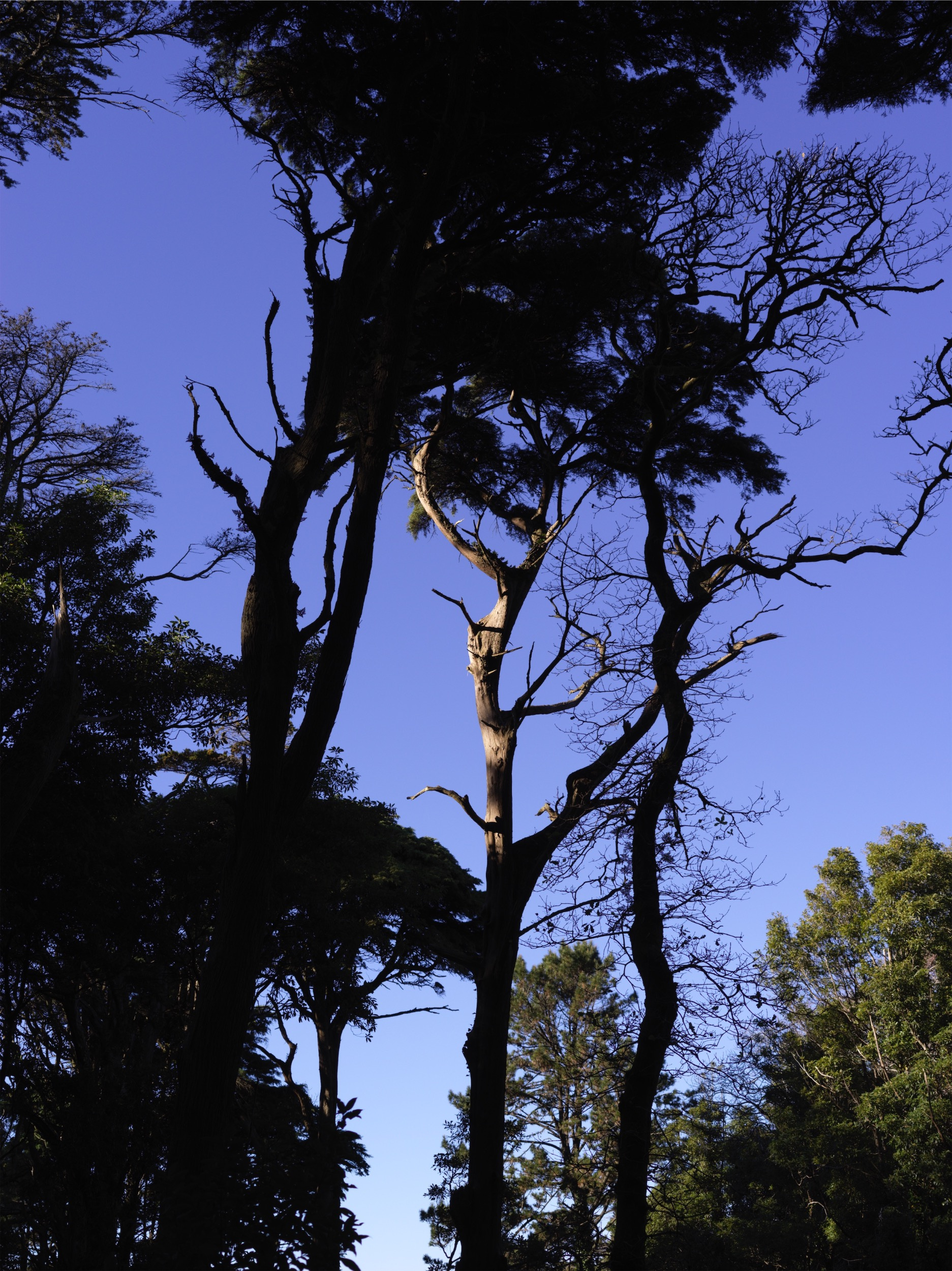 ecc35ccb-1573-4e60-bfeb-d269fbedad53