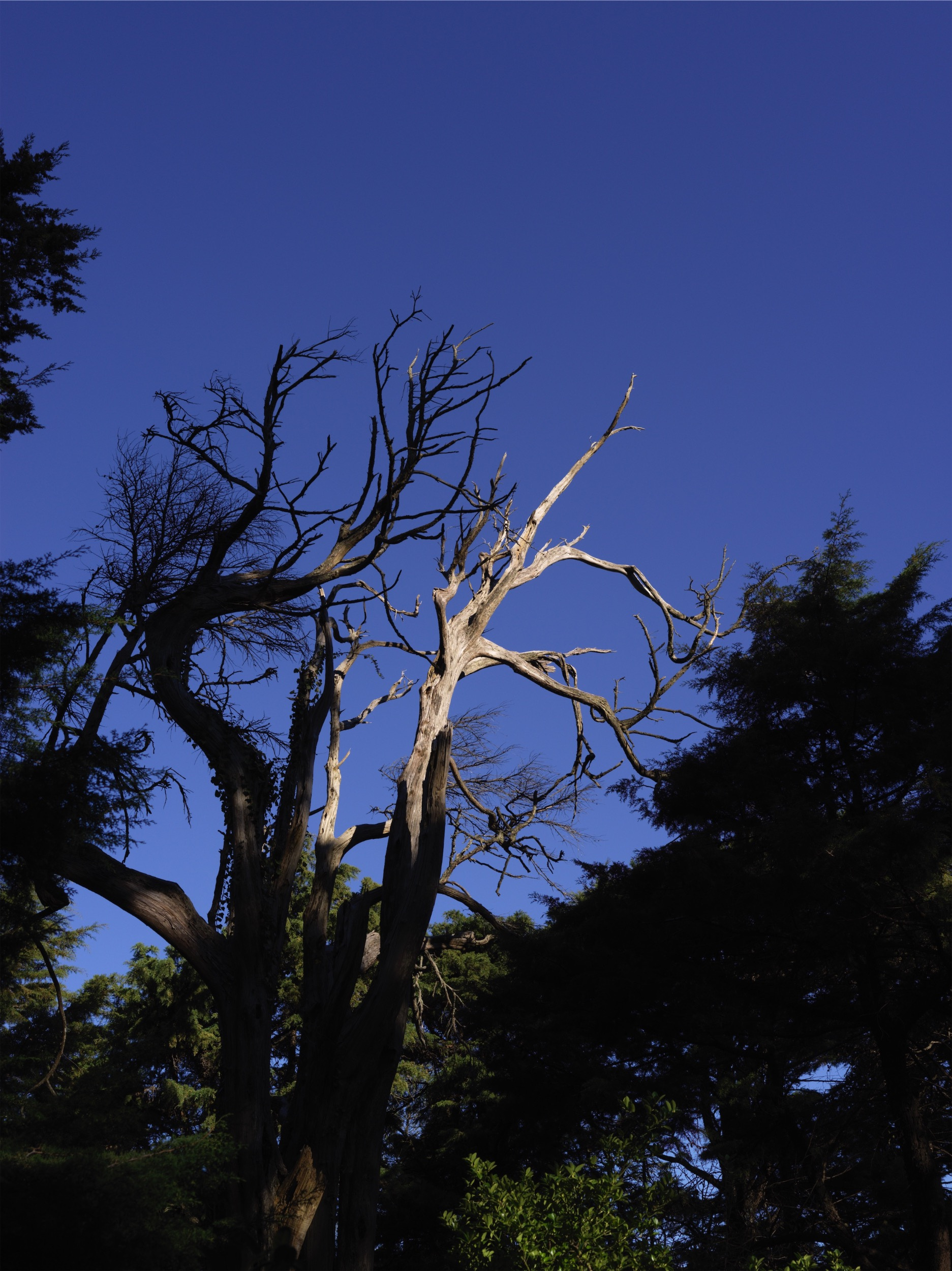 150dfb46-bb8d-4867-93a6-4c6867d4f32f