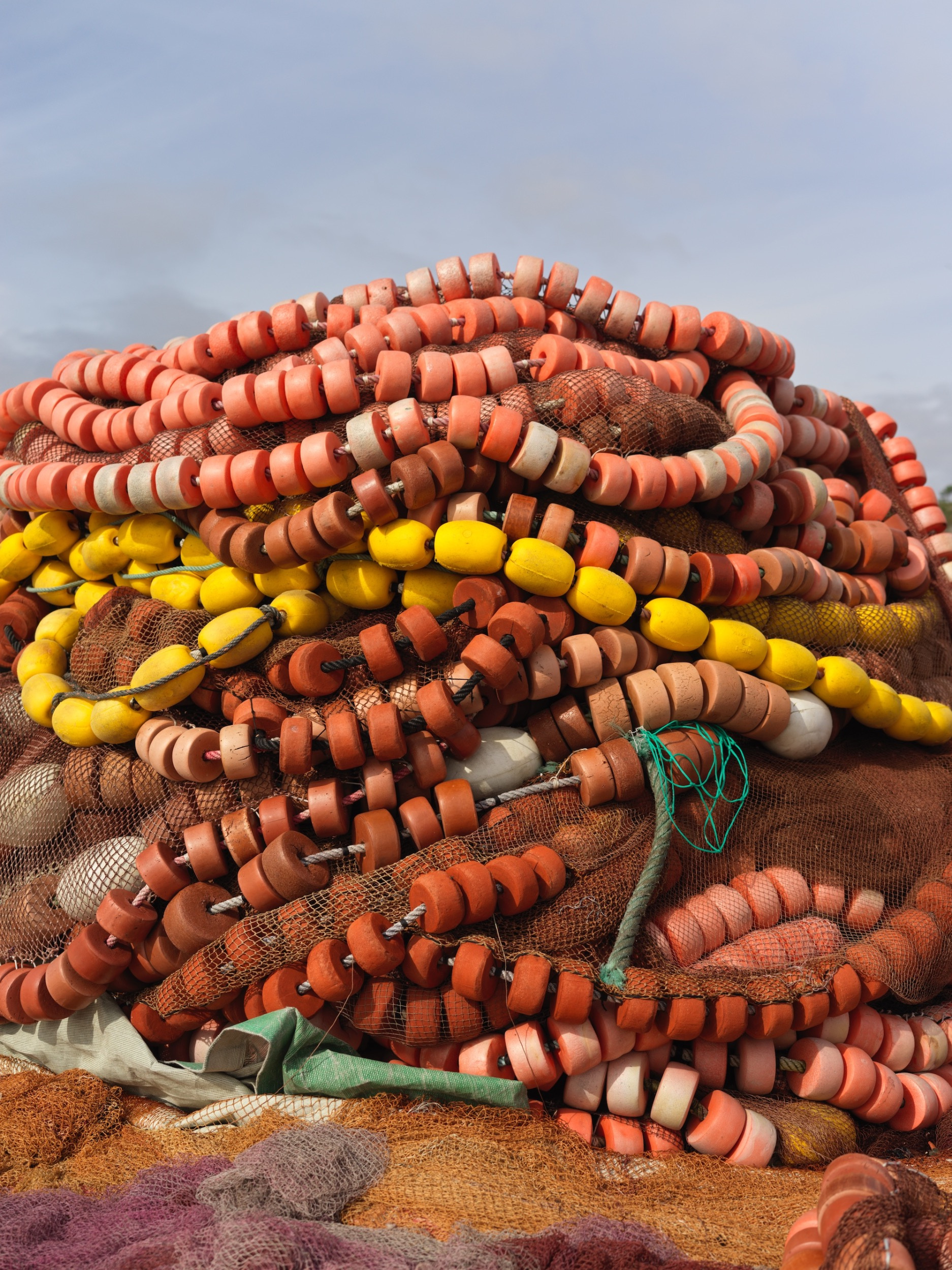 2f42ea2d-bde4-47d1-9c82-ce8ca9cd247b