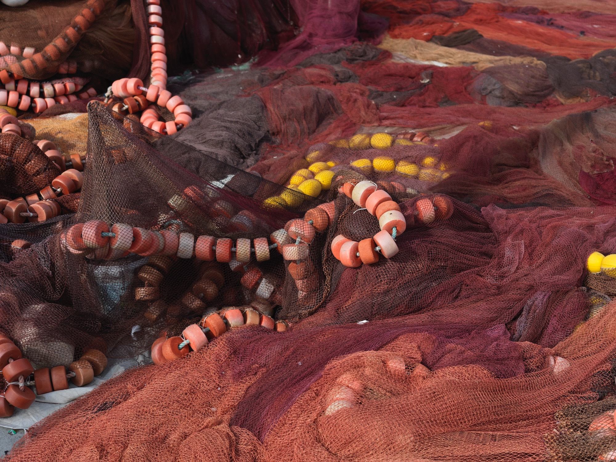 f95cbc5d-92c8-407e-ab91-21102630dcfe