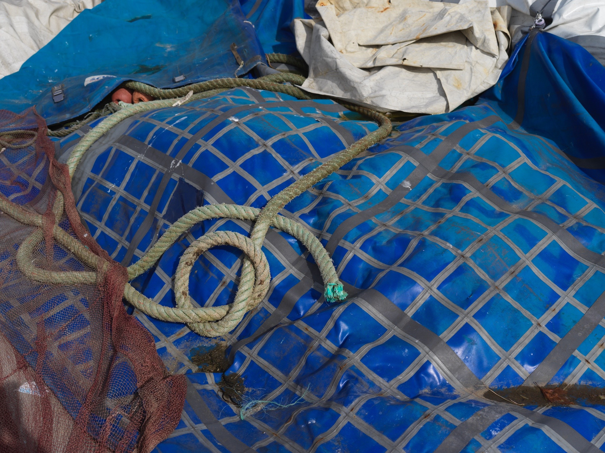 636ae570-32e8-45a2-a351-97eec1604f5c