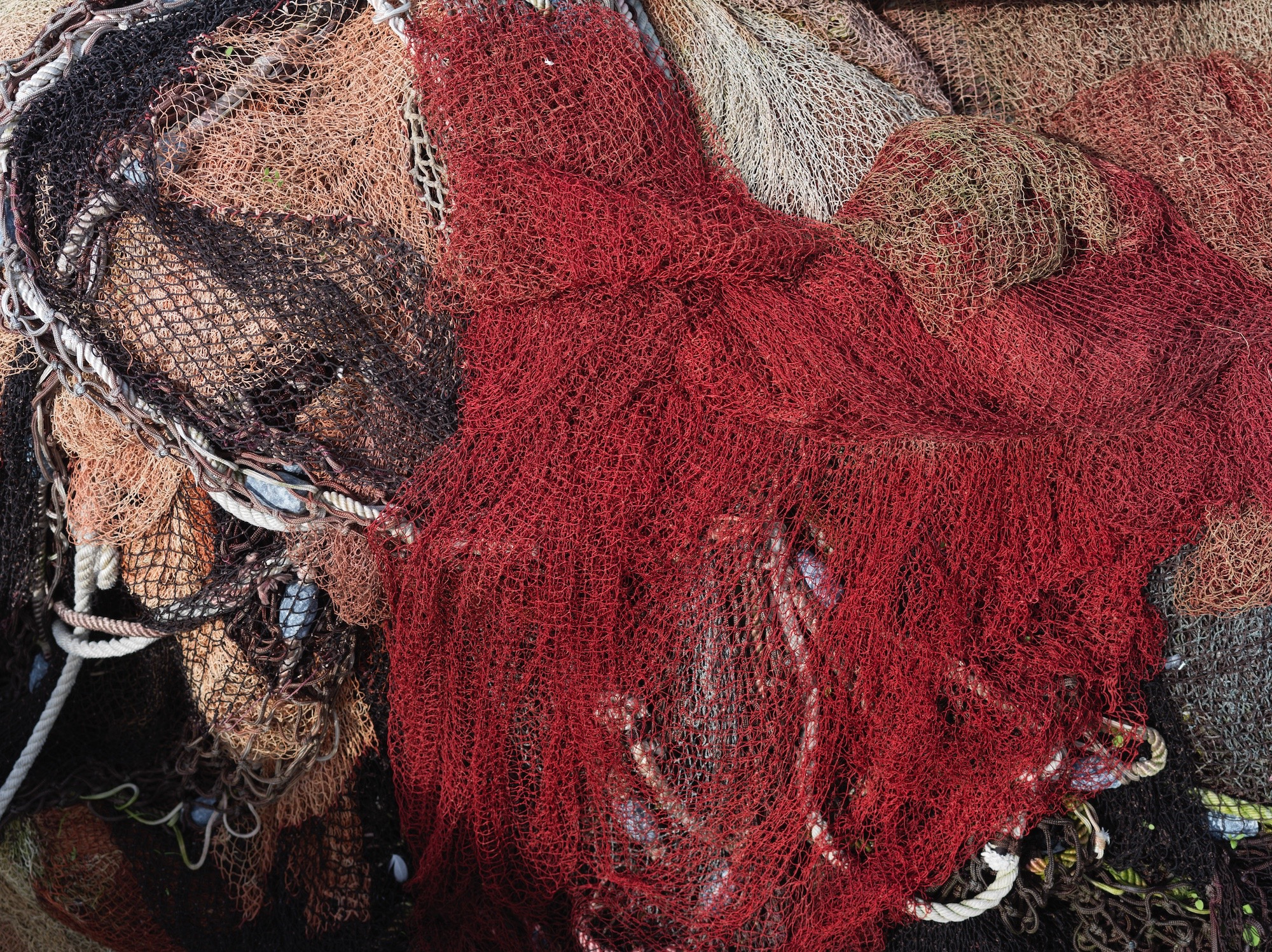 7cafe90c-757e-4604-8f54-56af24a28e9f