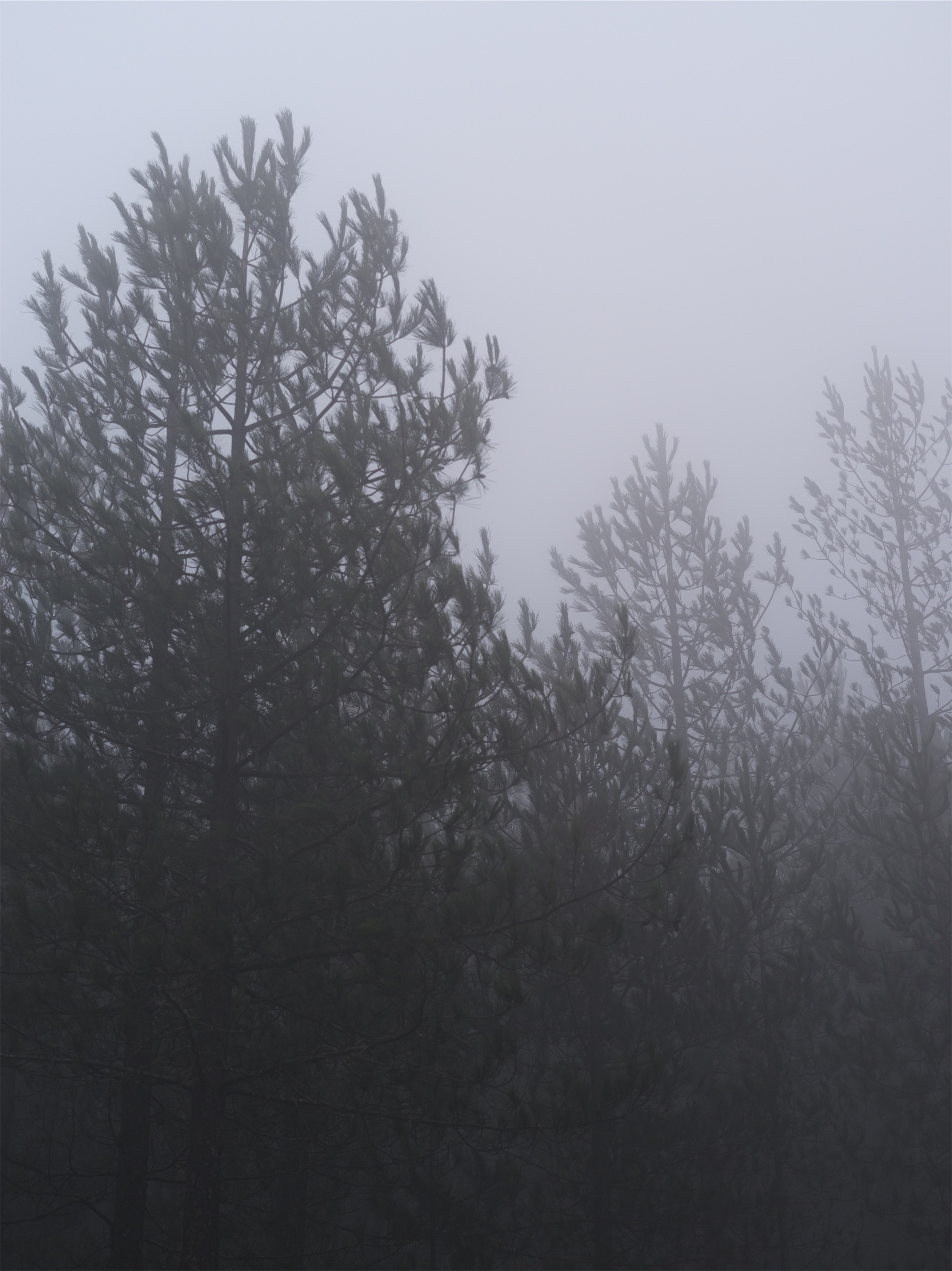 29027e11-0232-44e1-9dc9-82a93ac760dd