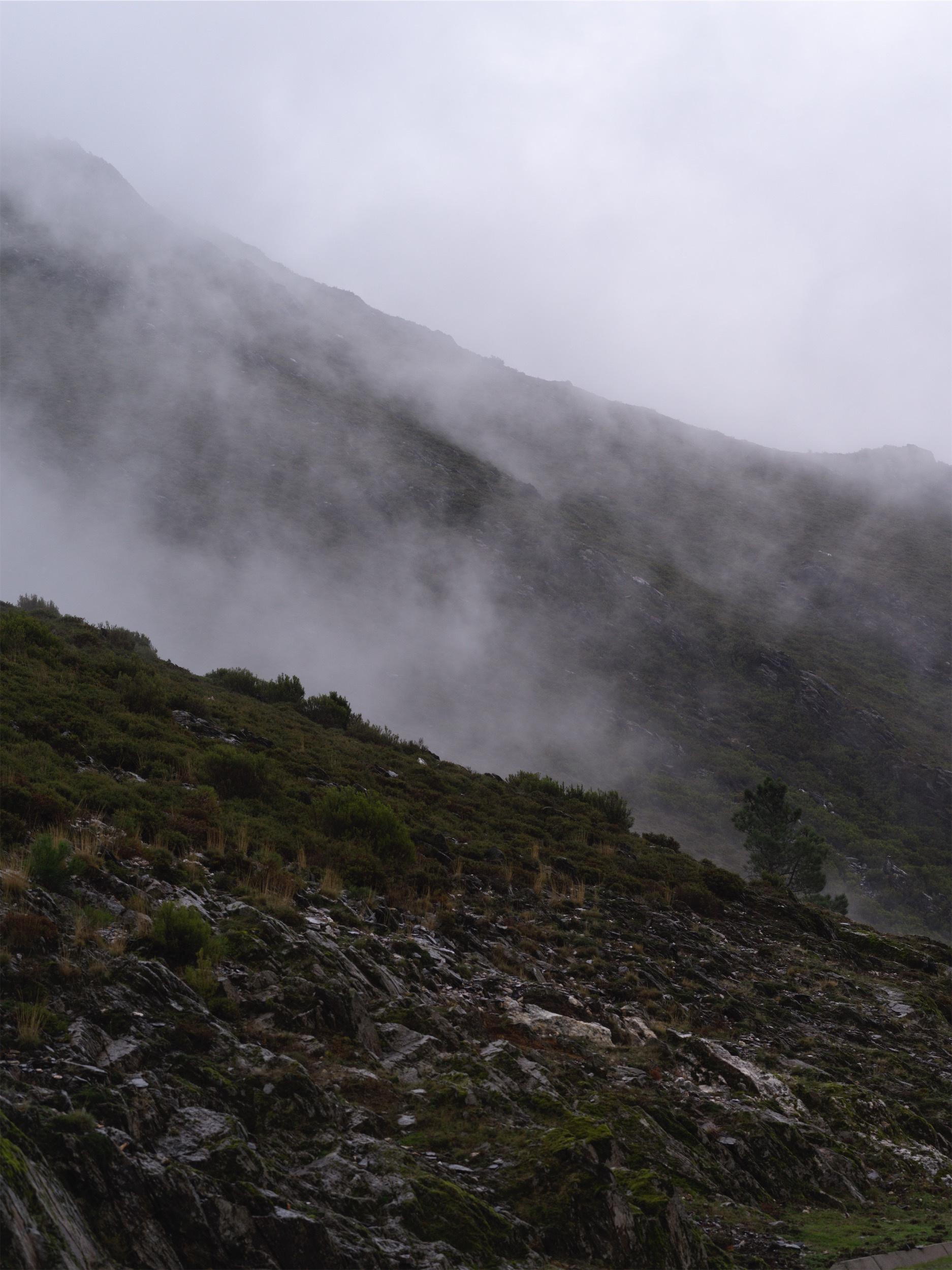 1c5629ba-2640-4812-9c9c-9ee460a37ab0