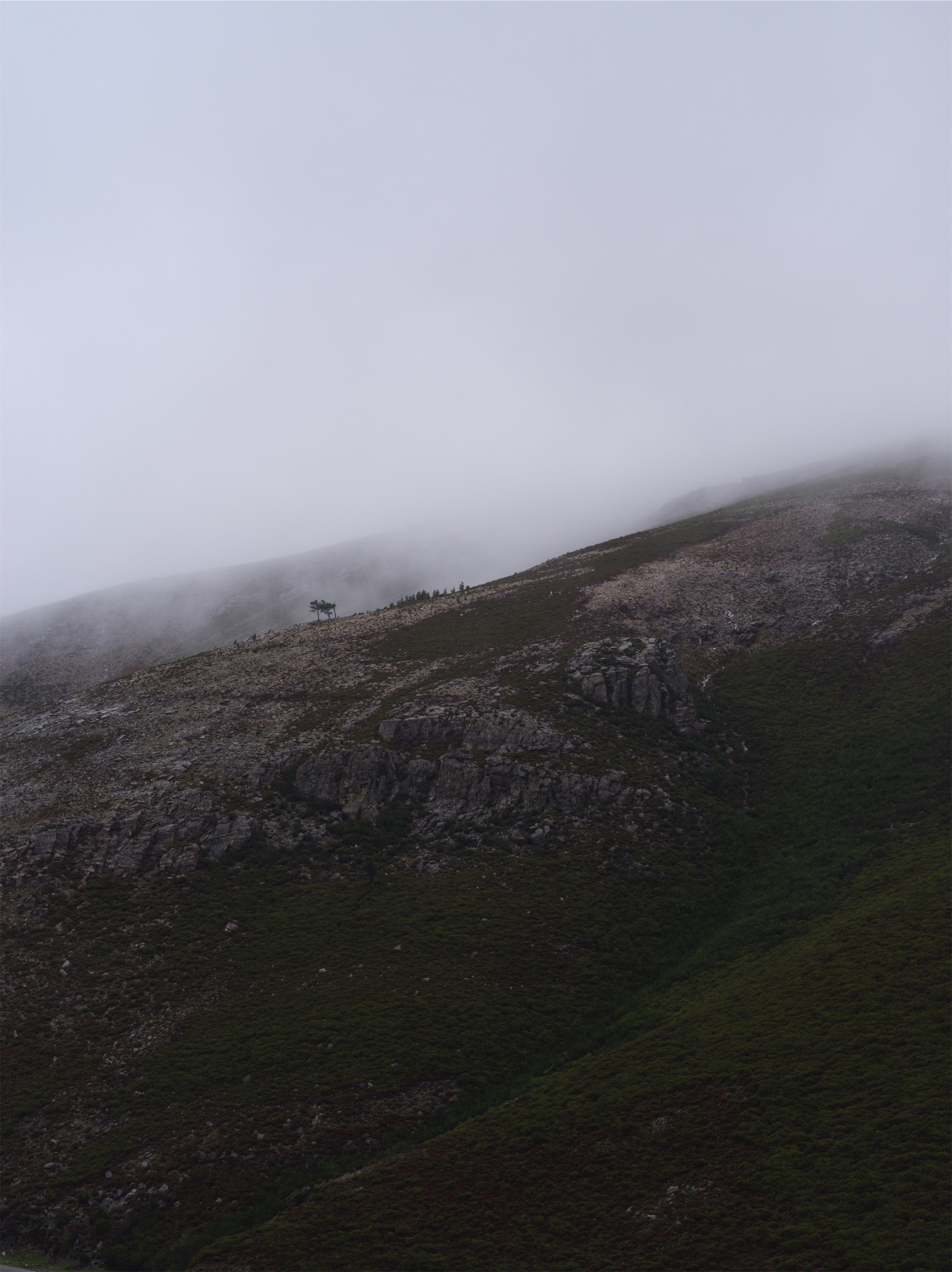 0b2fd40f-748a-4288-82ed-e1a36f1f60d7