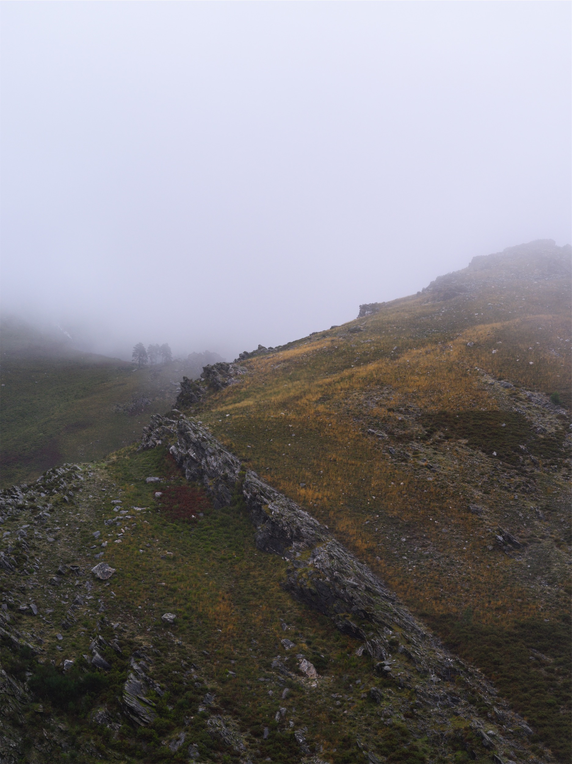 5c14a1d2-41cb-4a15-ac74-1bcf4a2c5312