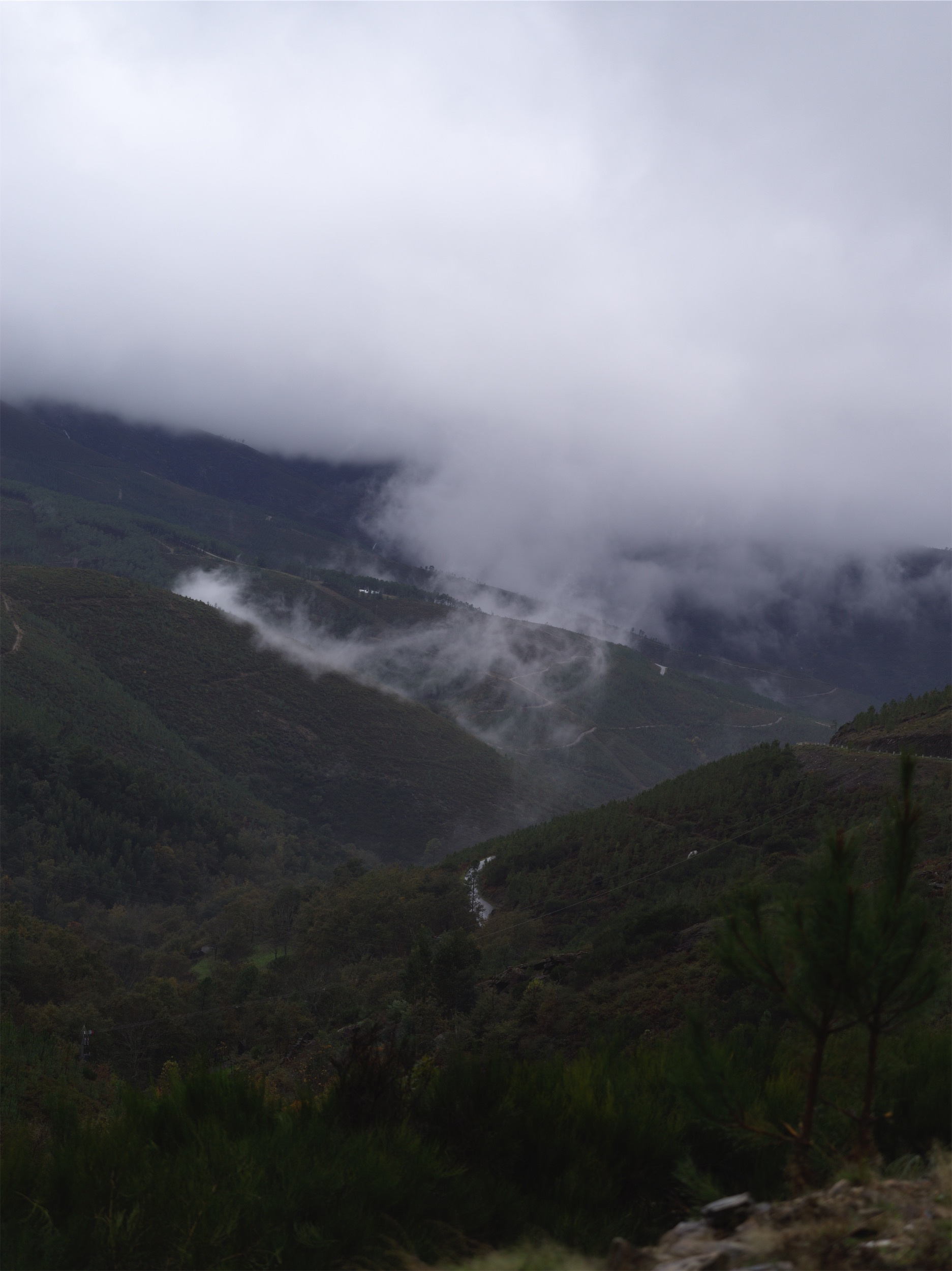 41175049-af42-4978-bc9a-2d84d83c69cd