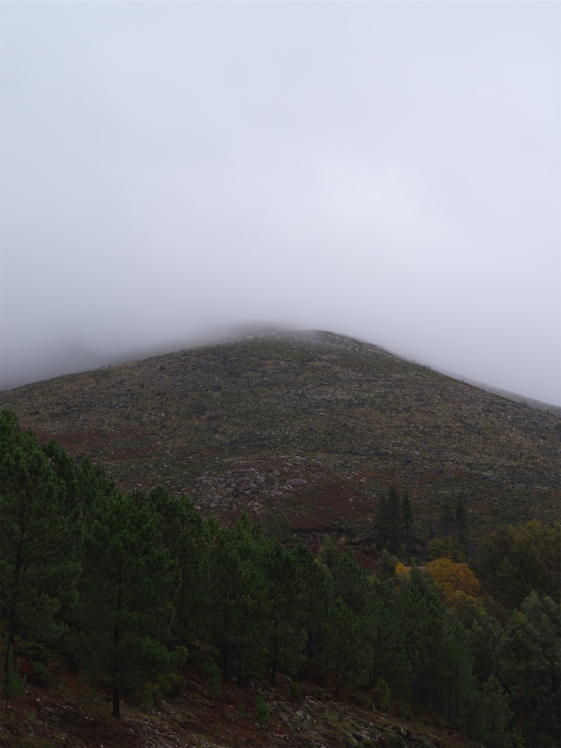 9ed02857-eac8-4577-837e-f52b44bfb390