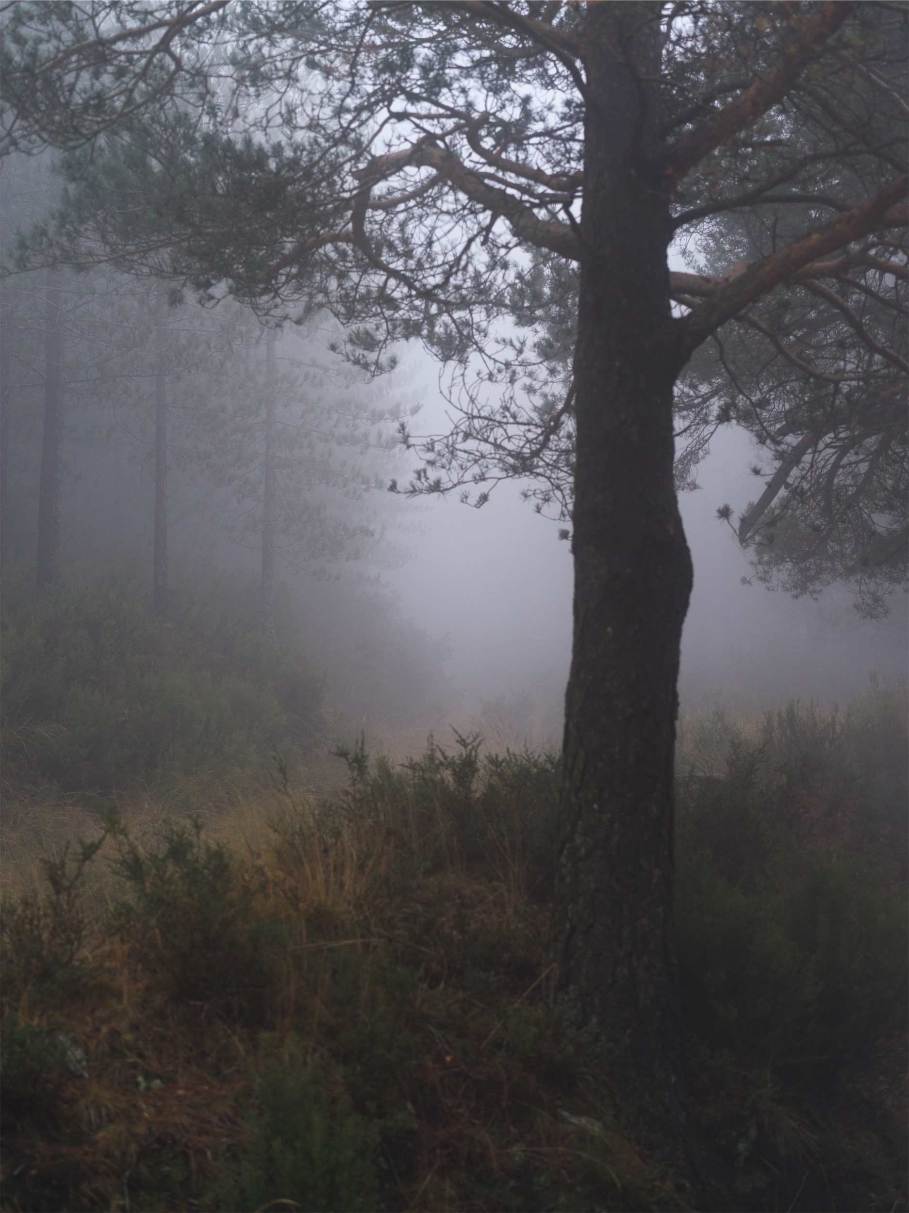 a395ed10-affb-49f3-a9fd-bfb778548598