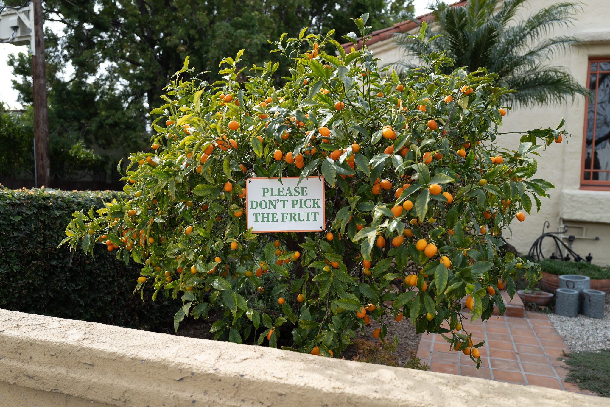 31297035-8ea5-46c6-9b03-52d36be61ec6