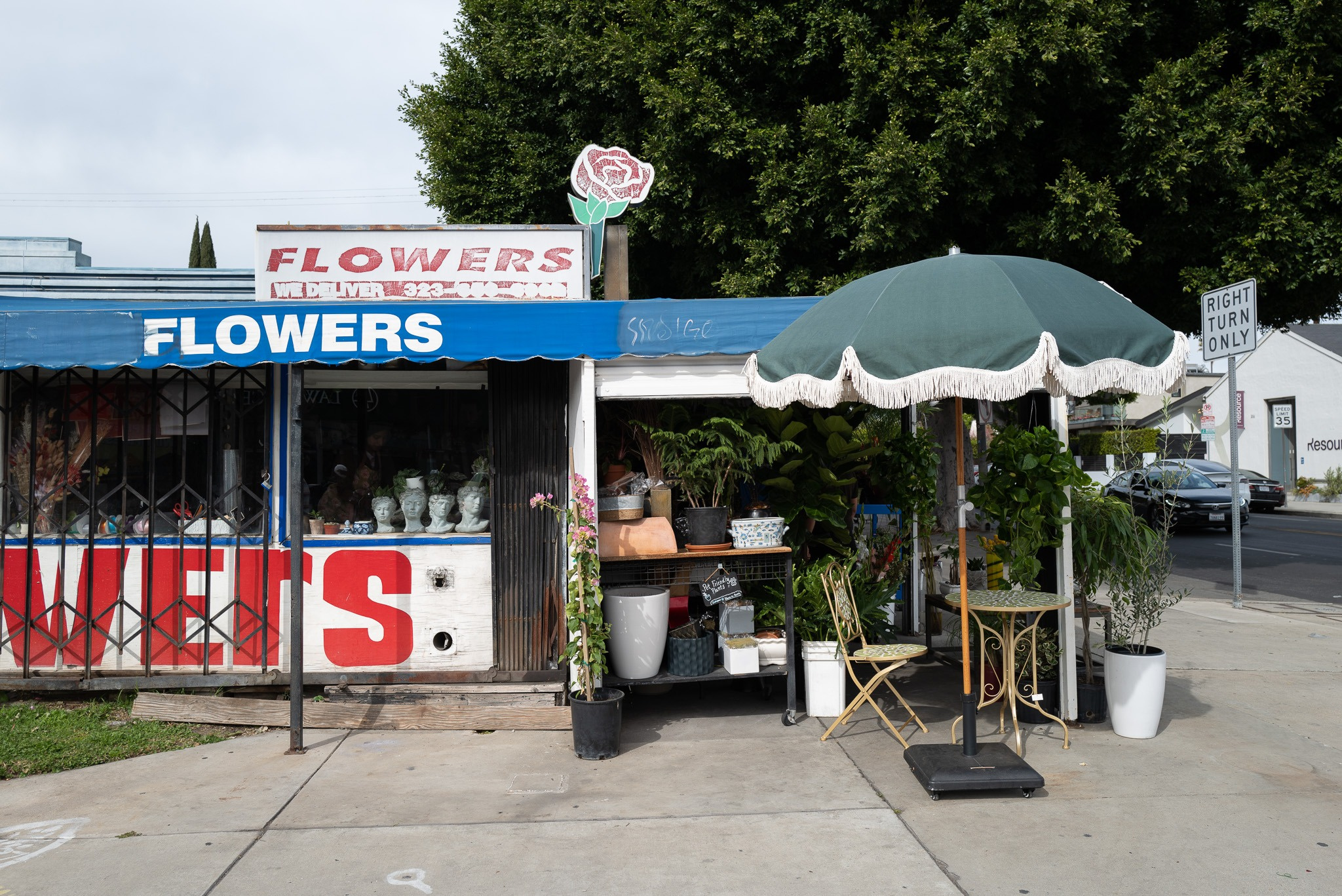 304f41d1-33b8-4eff-9776-aa74e8cd826b