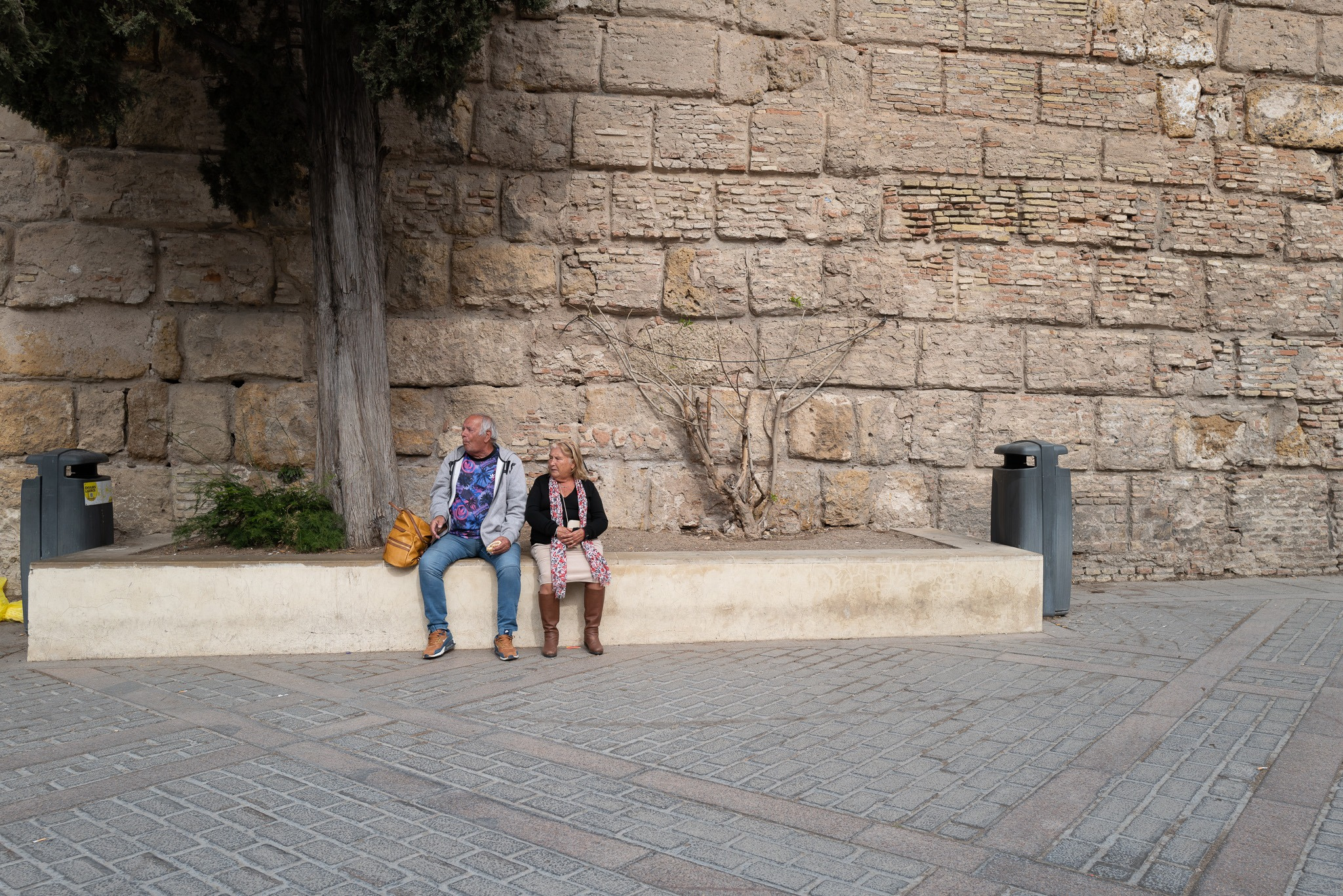 28c61943-76eb-4a4c-a21f-7ef64eb211c5