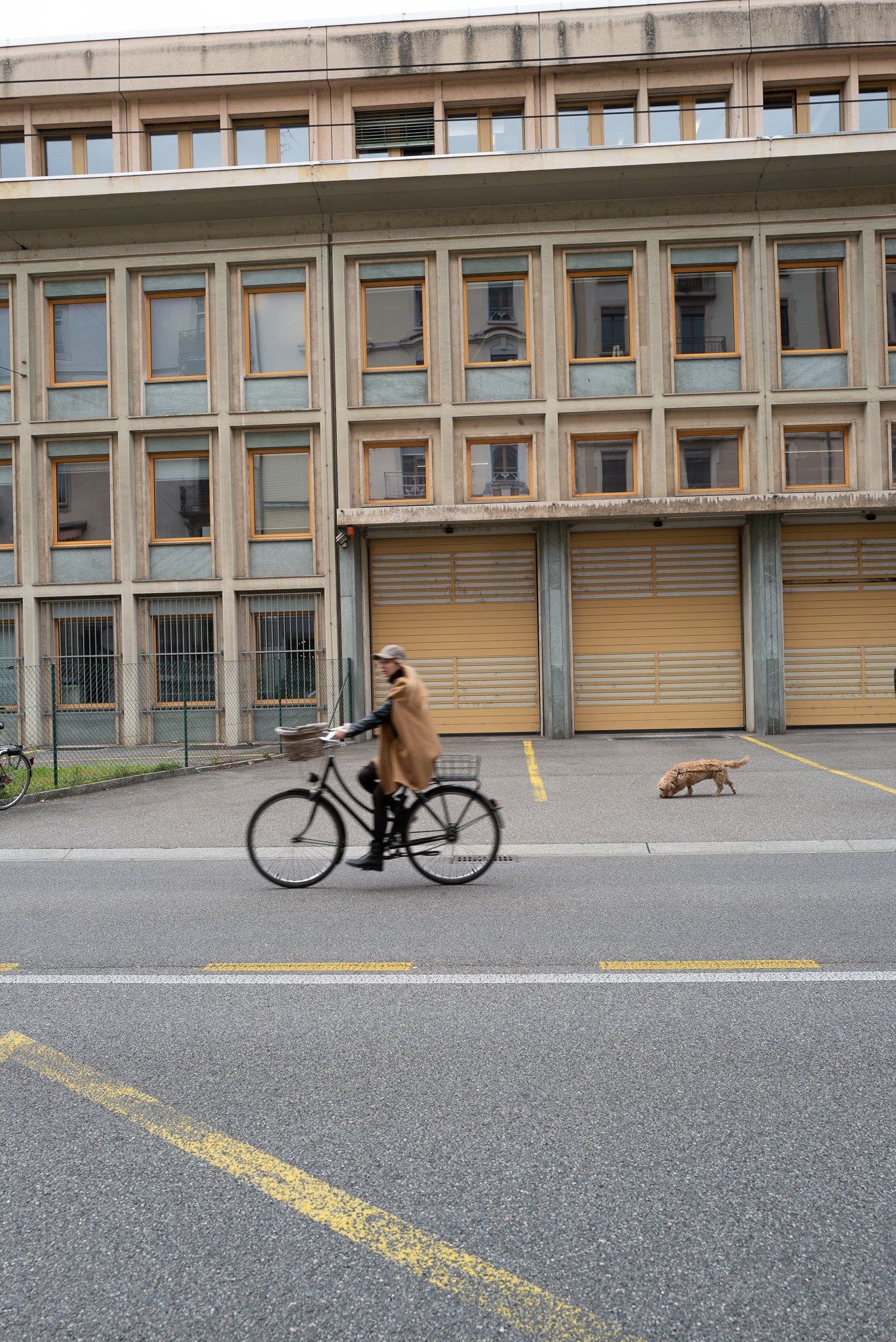 b23128b7-389a-4208-a44c-3ae0997c86ec