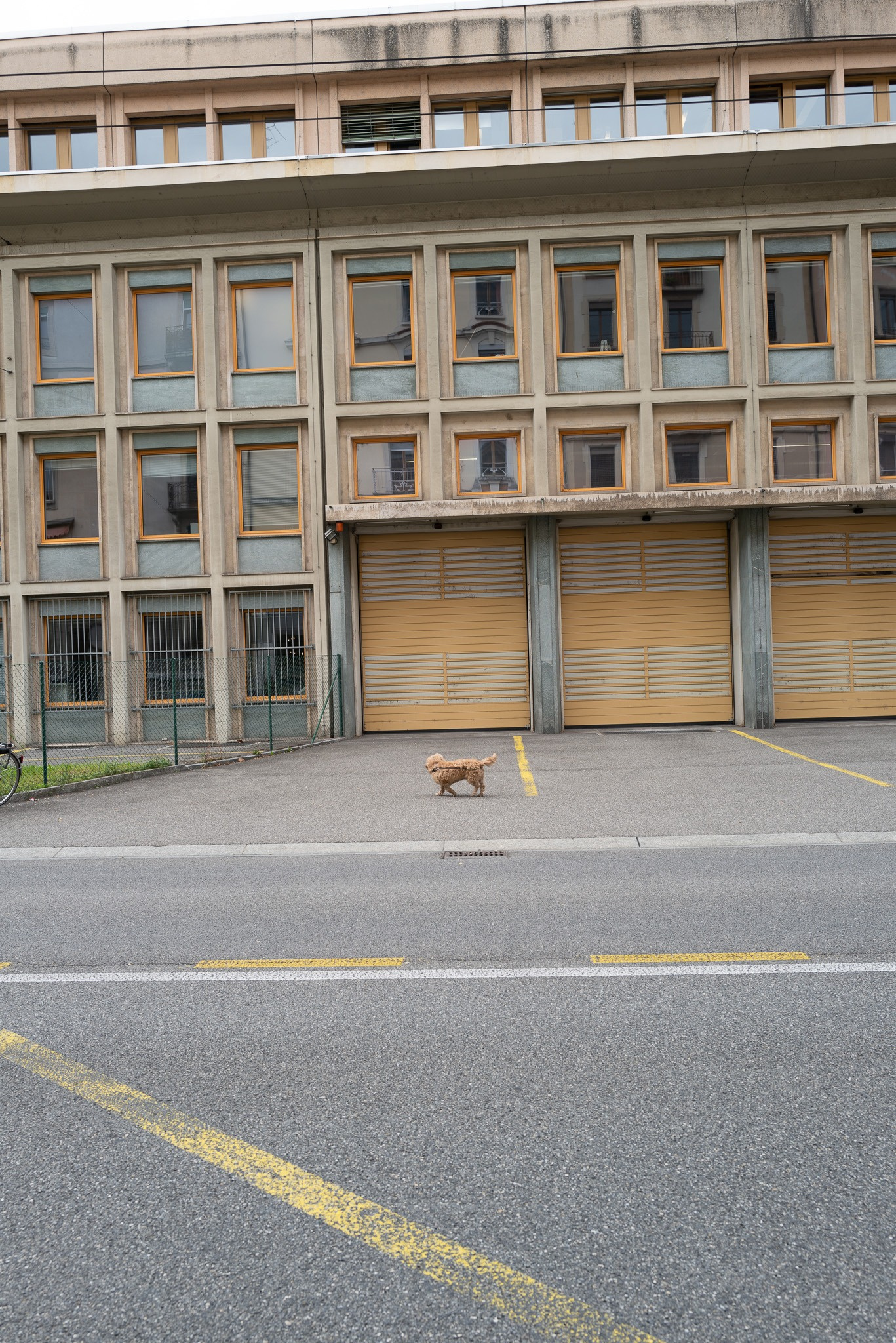 2446d3cb-a500-4891-bdb8-32f5240127ca